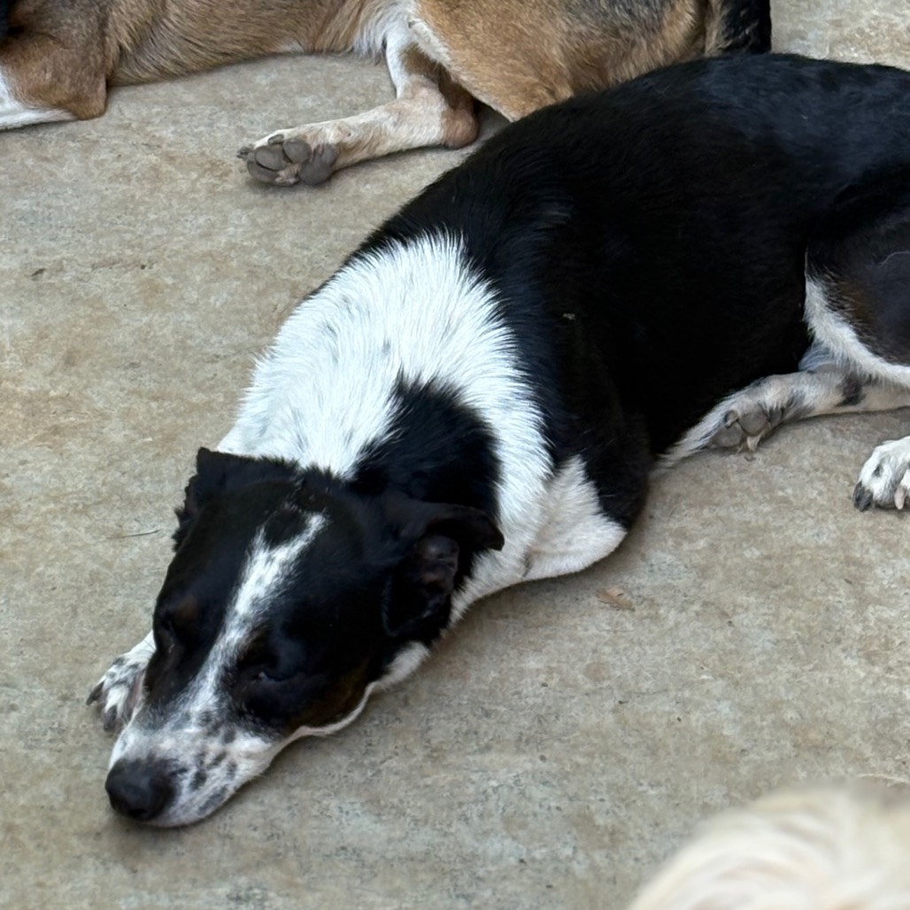 Maze — thumbnail 4