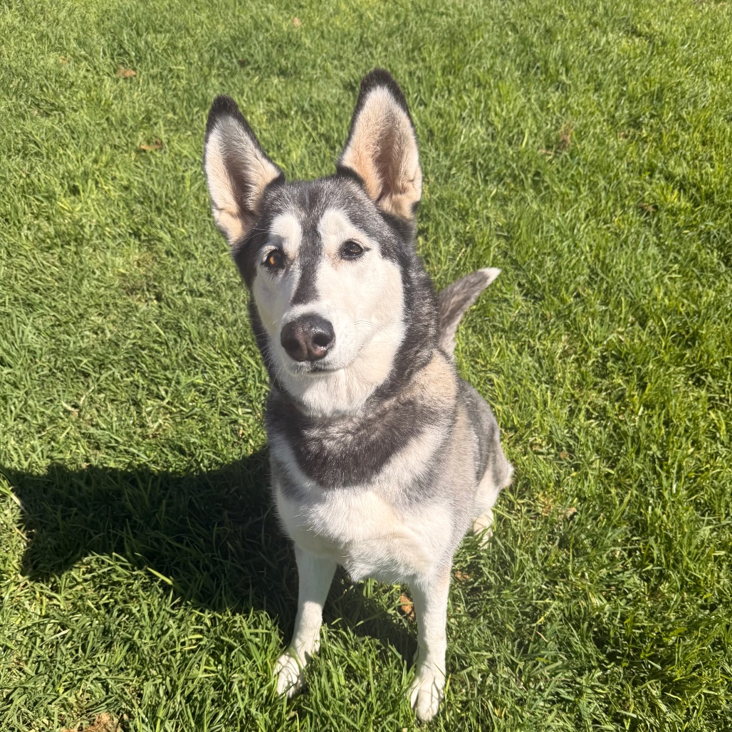 Tundra, photo 2