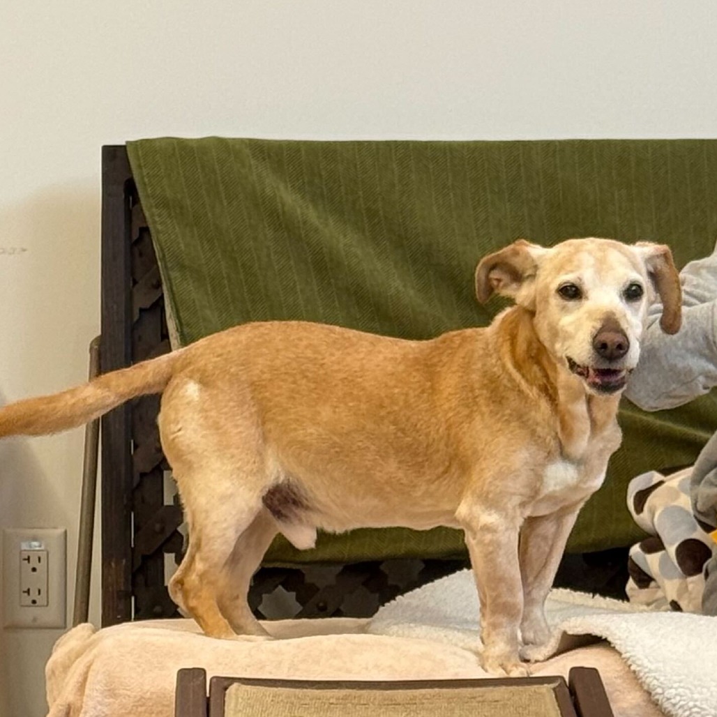 Chuck 13845 — thumbnail 4