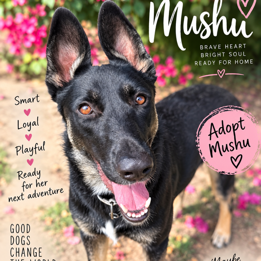 Mushu