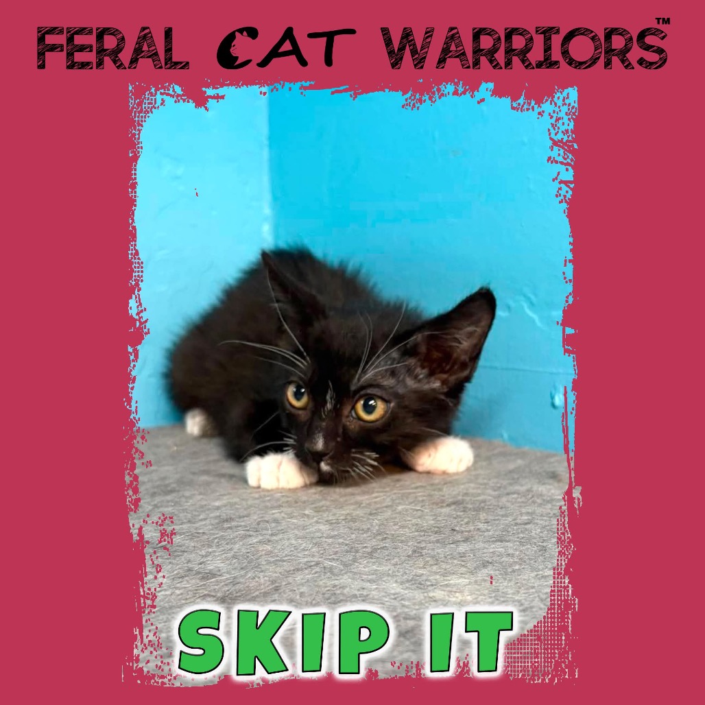 Skip It 
