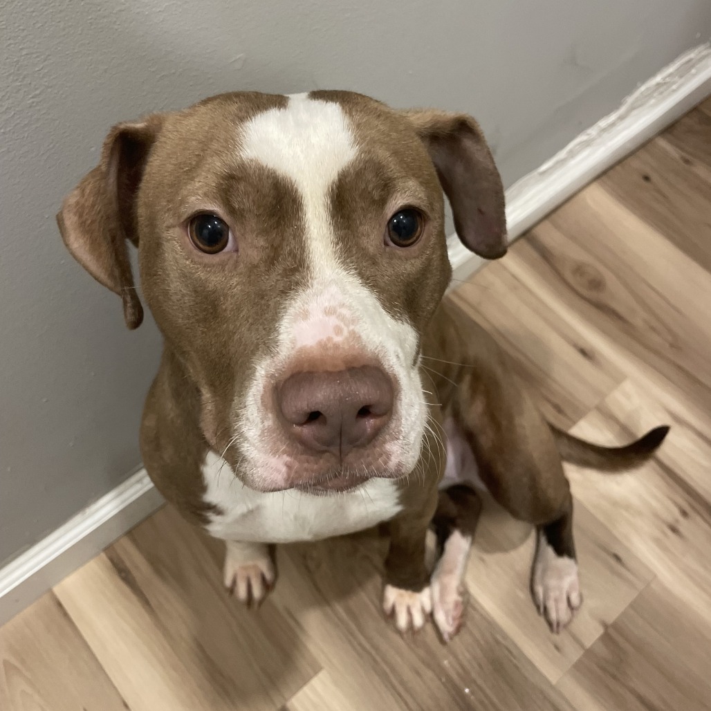 Rebecca — thumbnail 3