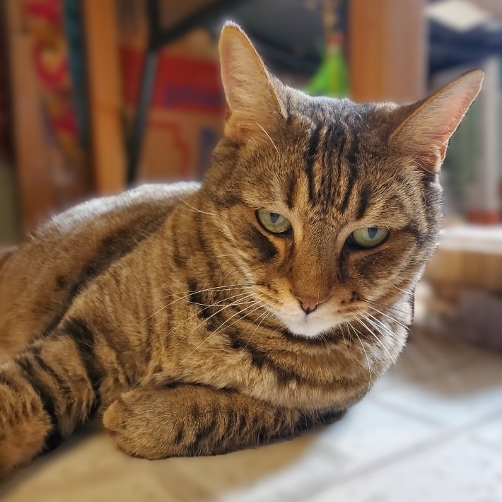 Tigger picture #9