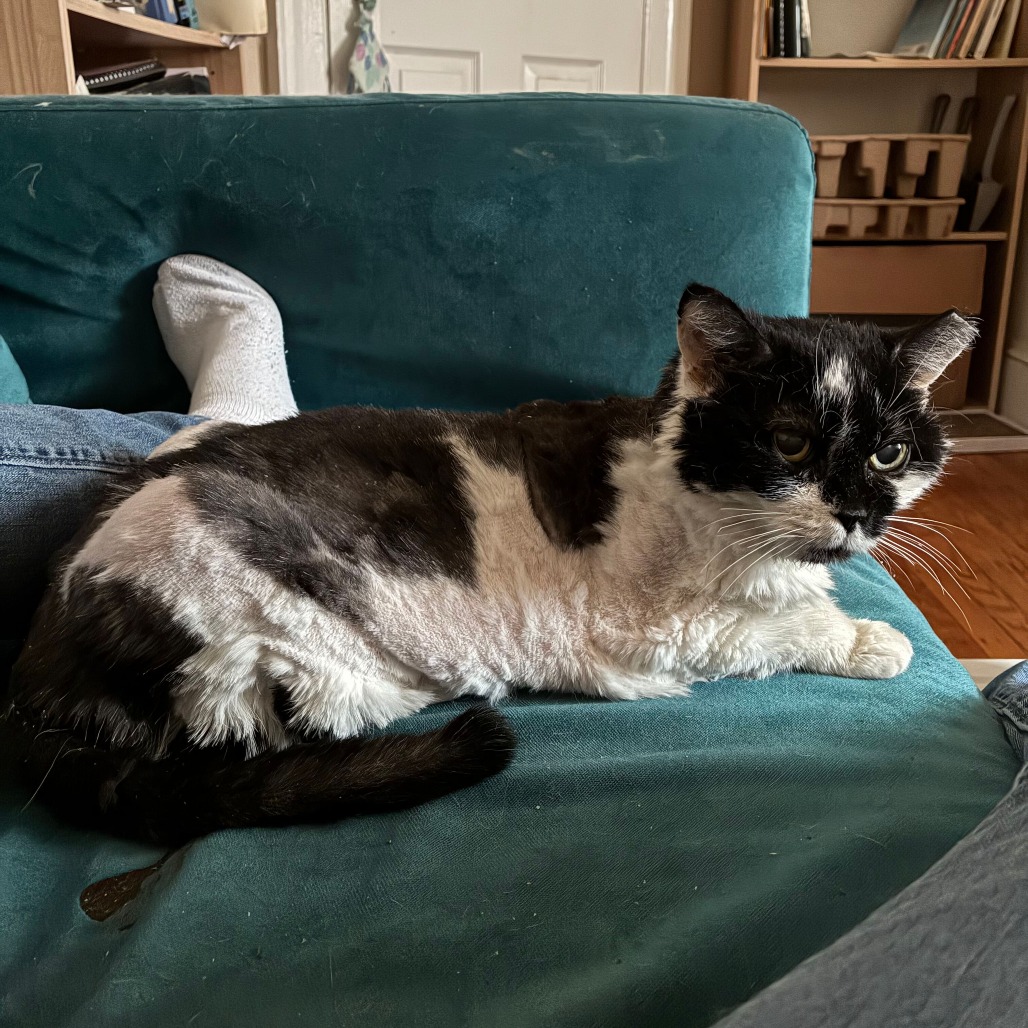 Pam, photo 15