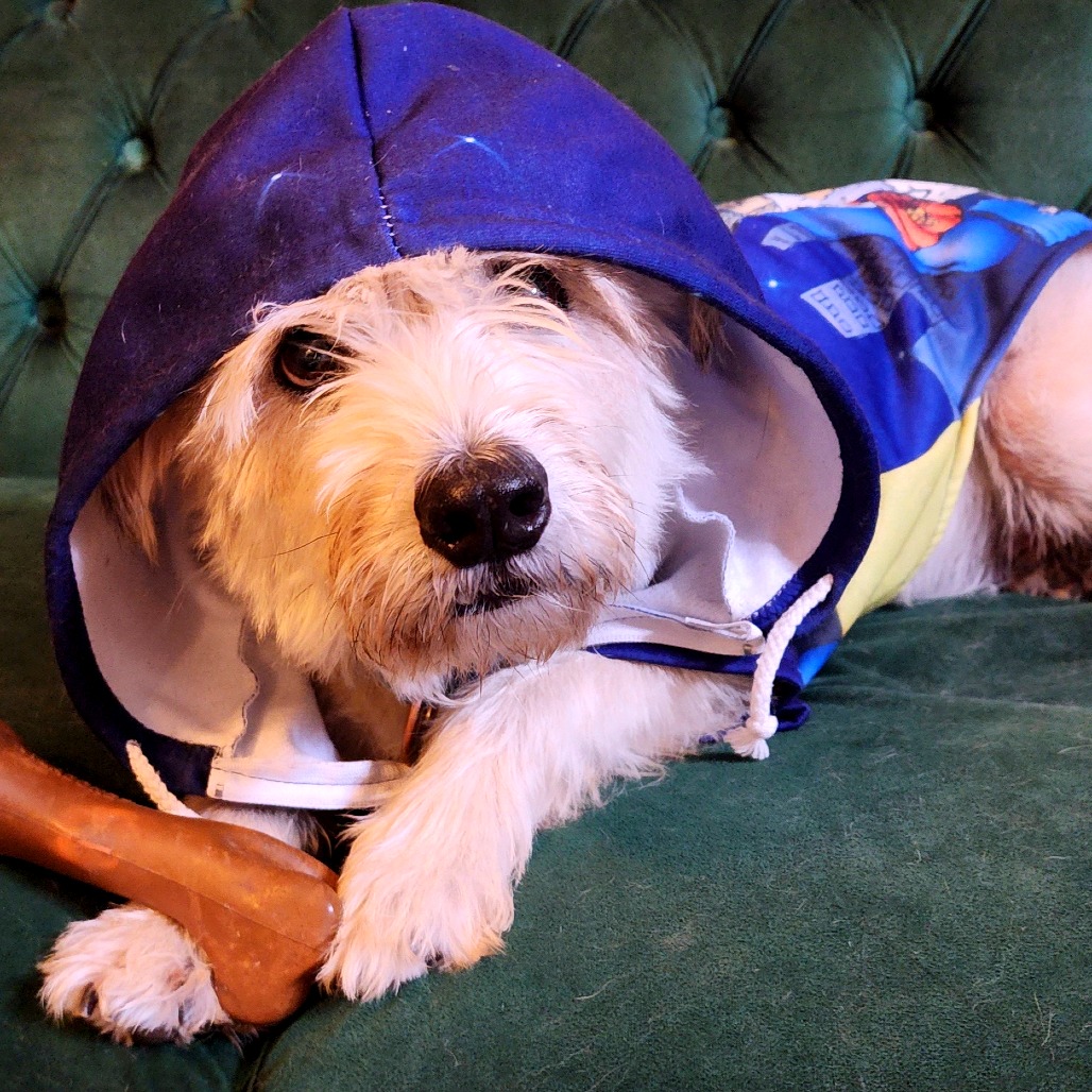 Scrappy, additional photo