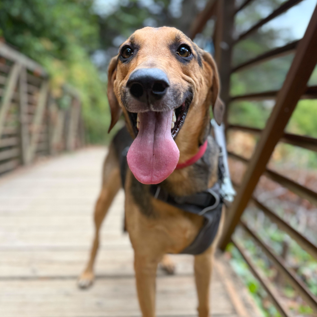 Jack — thumbnail 5