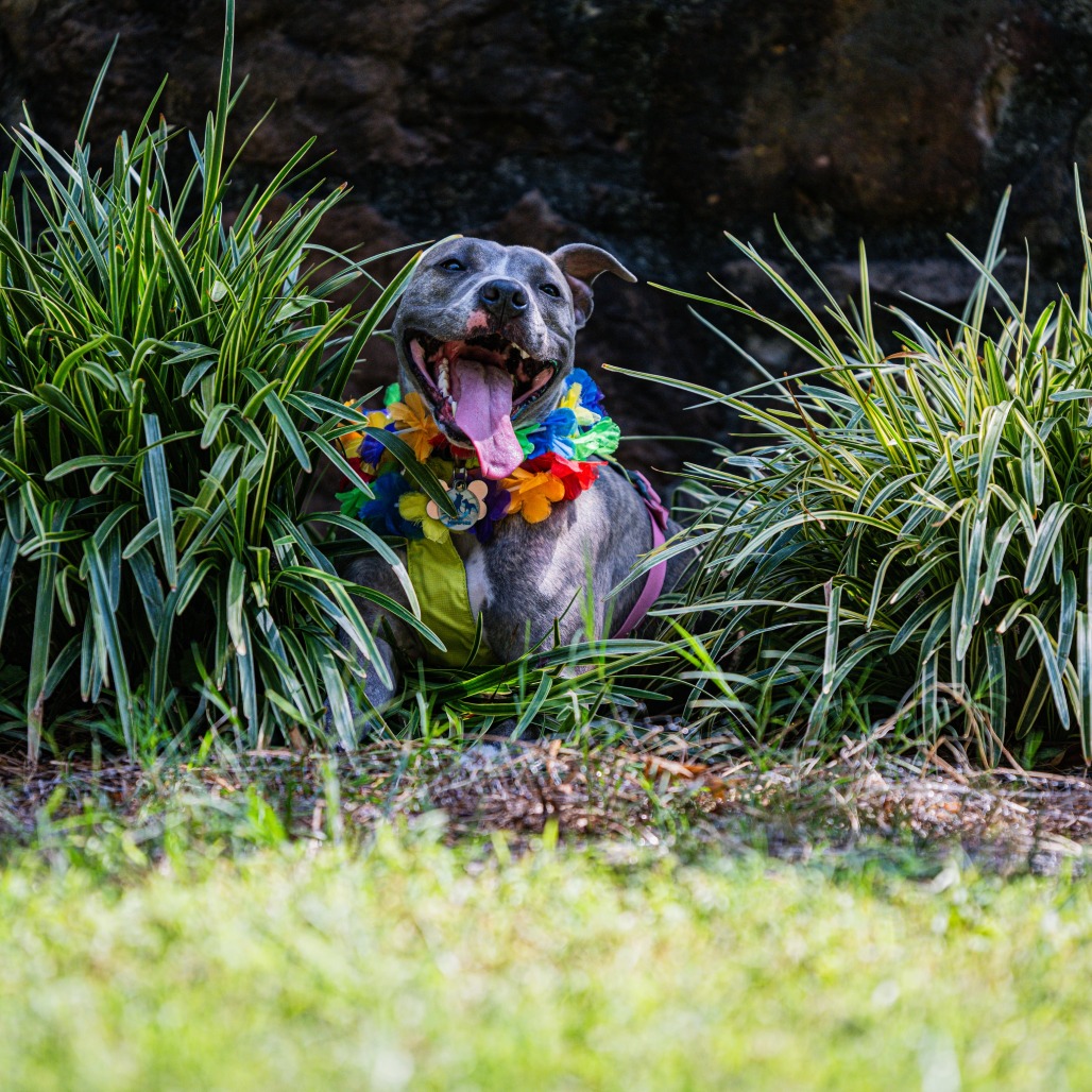Flicka, photo 30