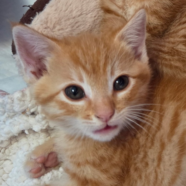 Fred, photo 2