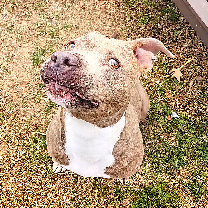 Alli — thumbnail 6