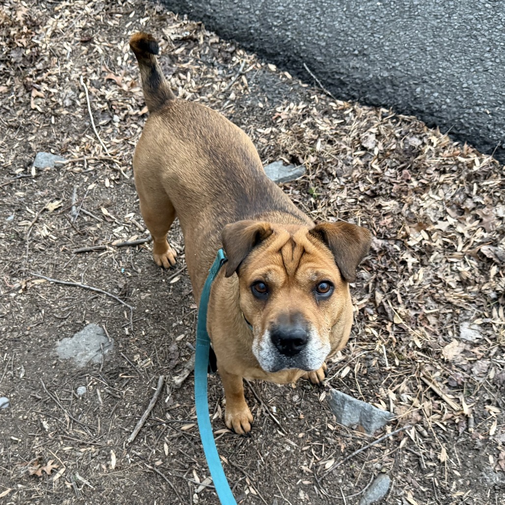 Zoey, photo 26