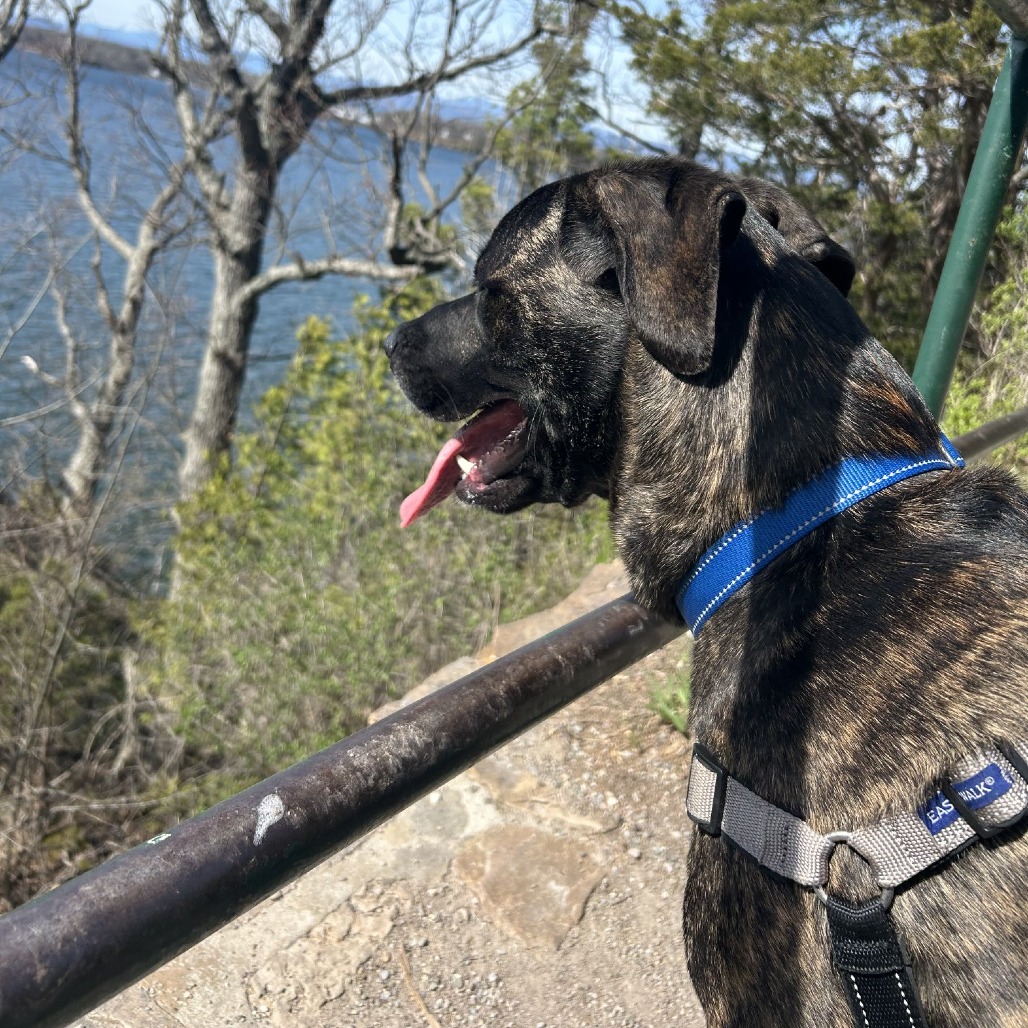 Earl, photo 18
