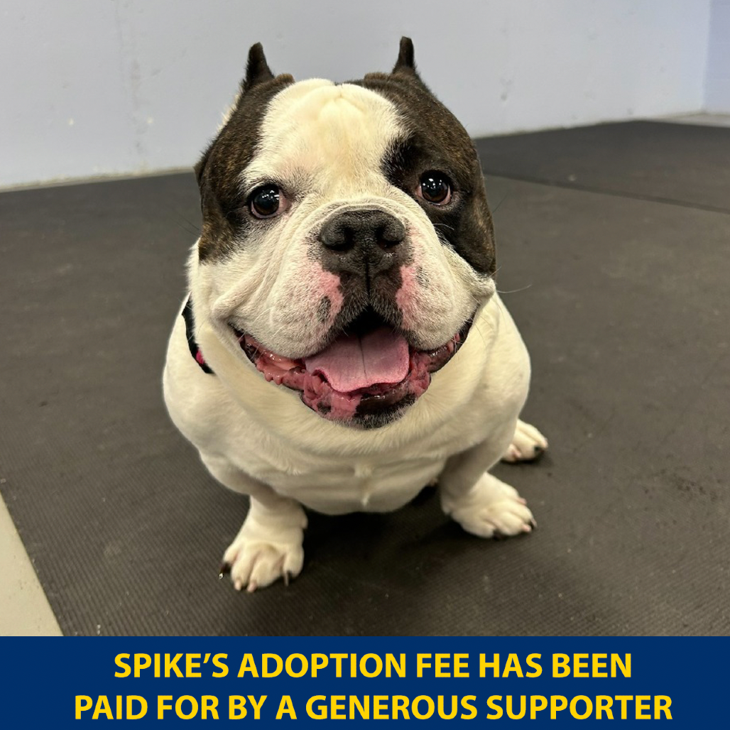 Spike