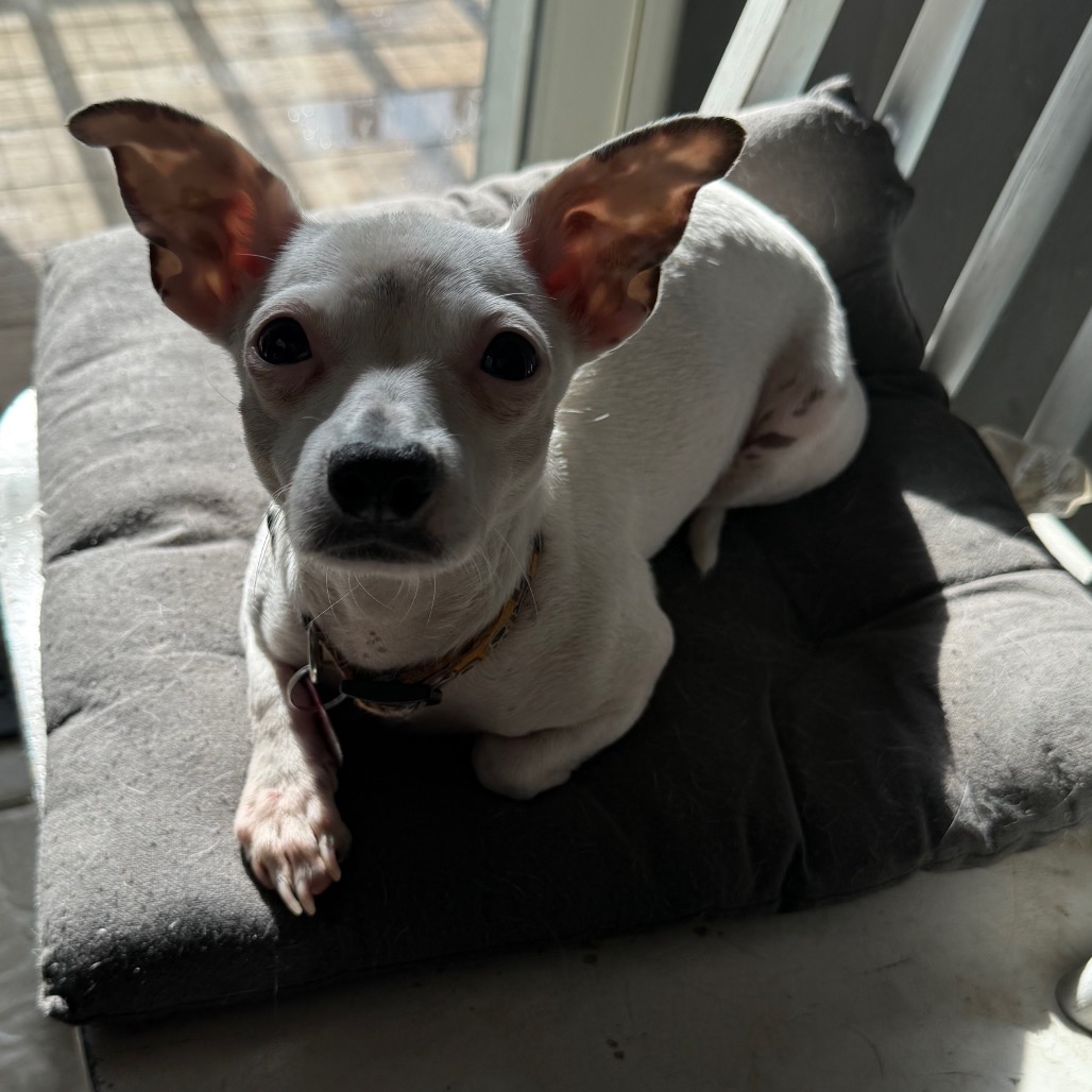 MINNIE, photo 11