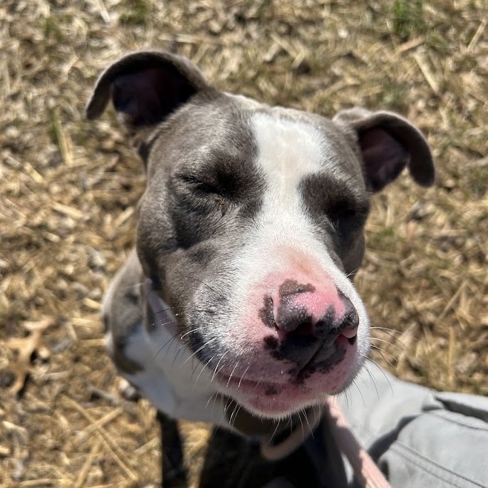 Skye — thumbnail 5