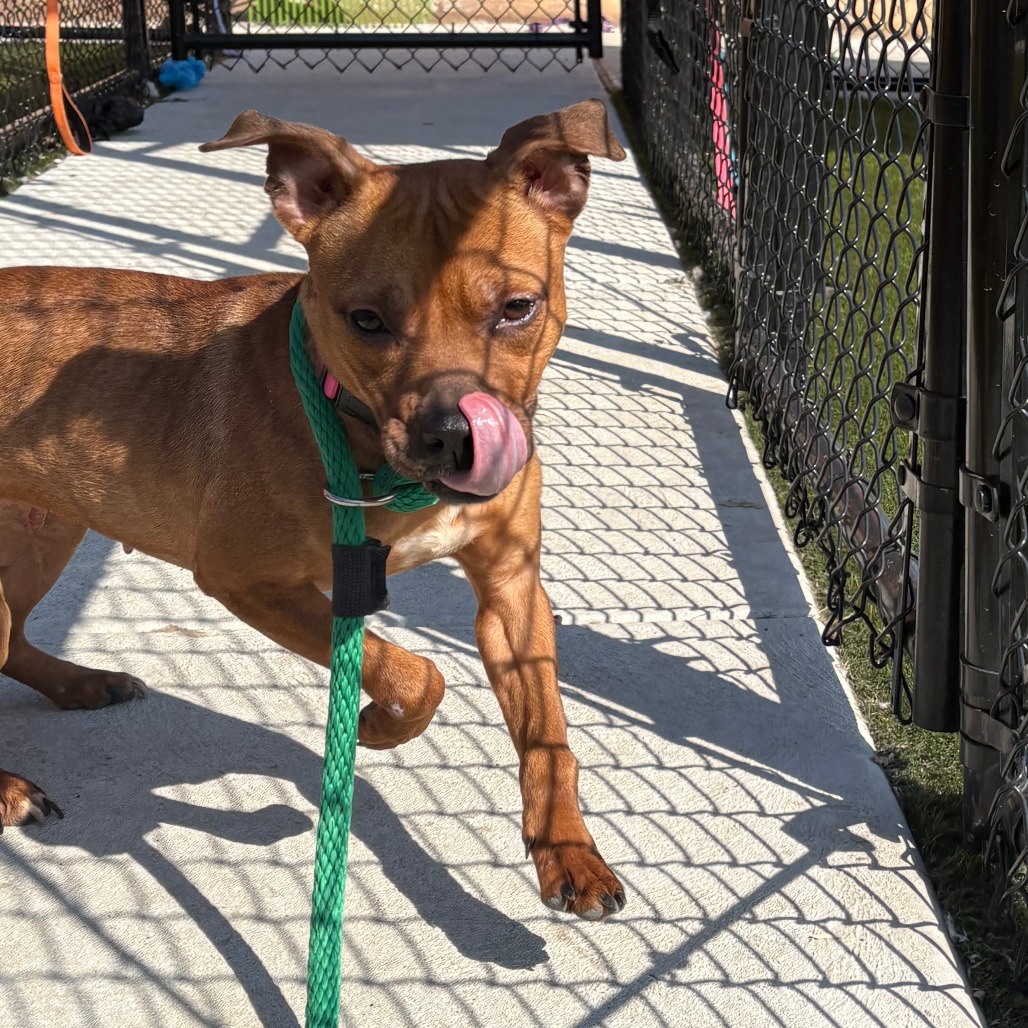 Graham — thumbnail 3