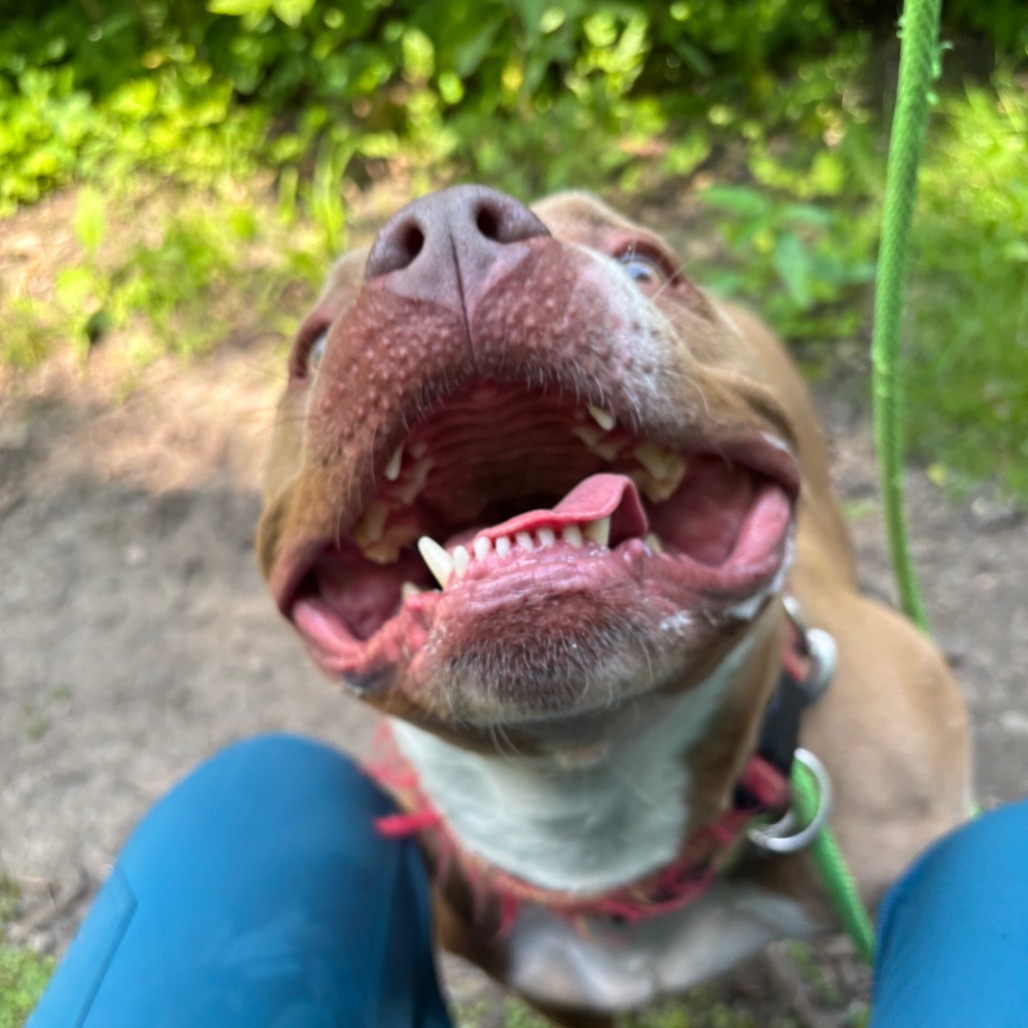 Buddha-Foster — thumbnail 5