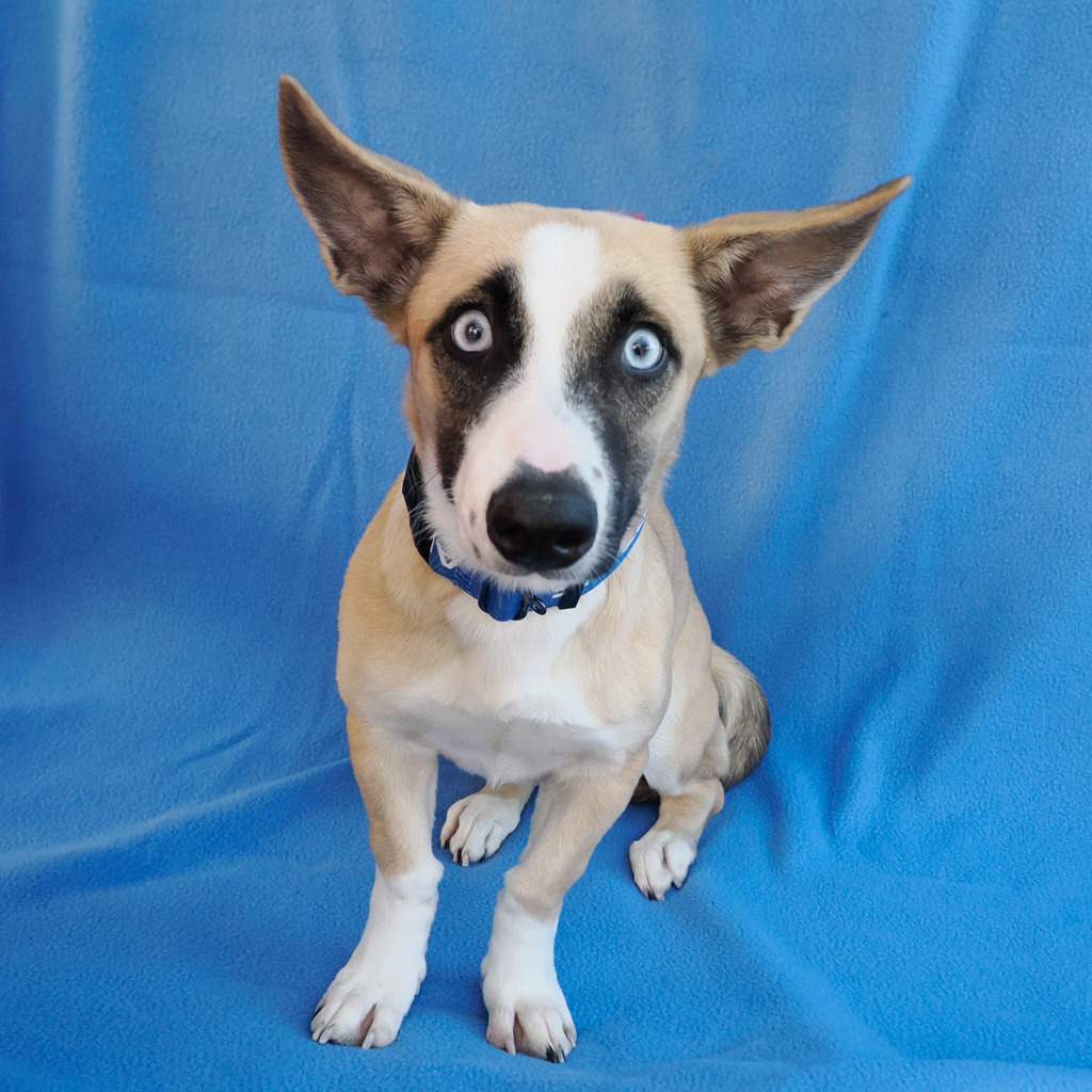 LILAH, photo 2