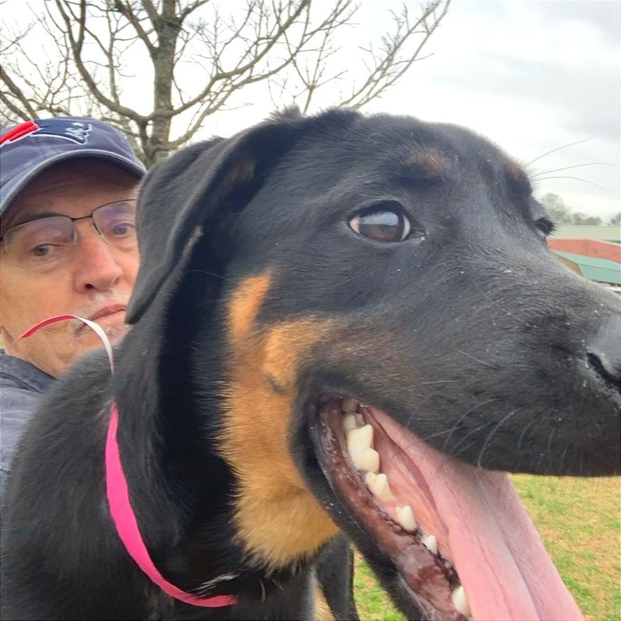 Harley Quinn — thumbnail 3