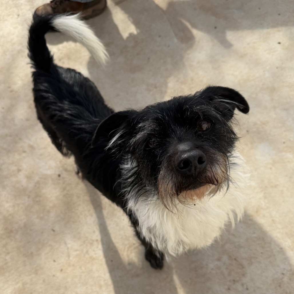 FINNEGAN — thumbnail 3