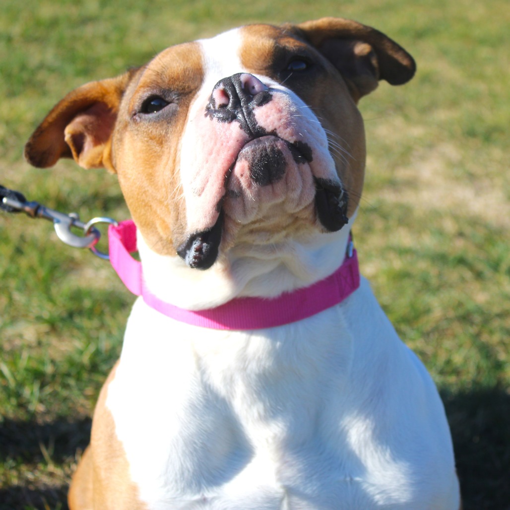 Fergus — thumbnail 3