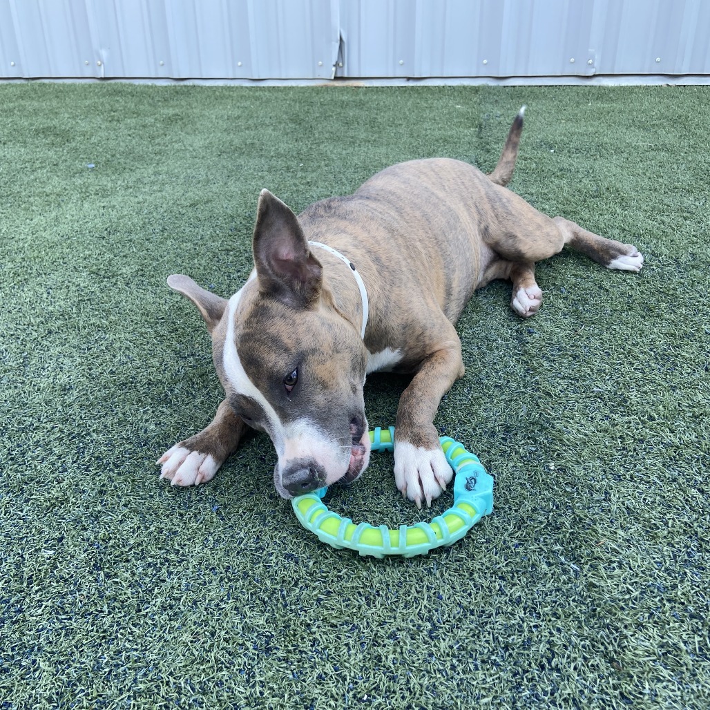 Natalia — thumbnail 5