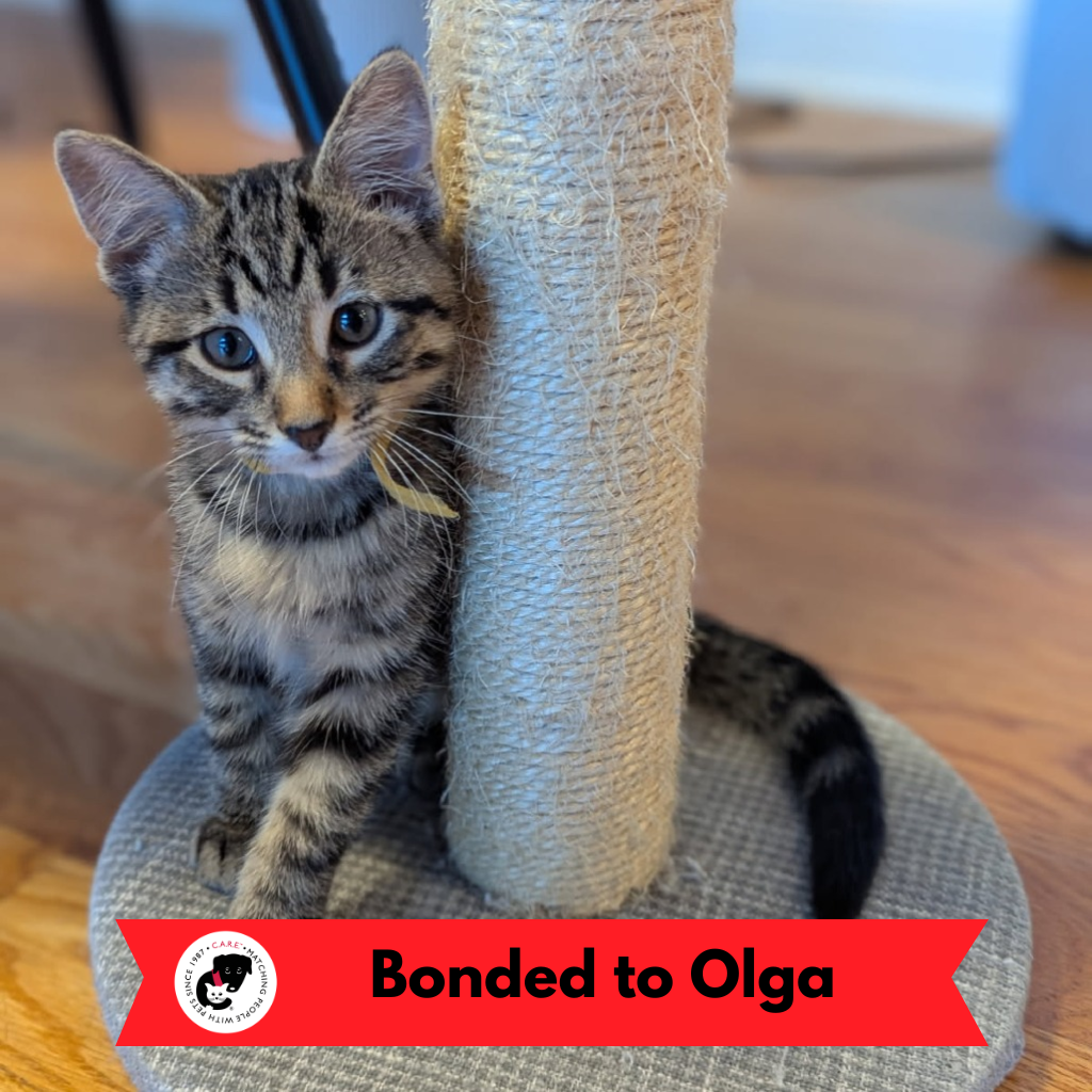Obie