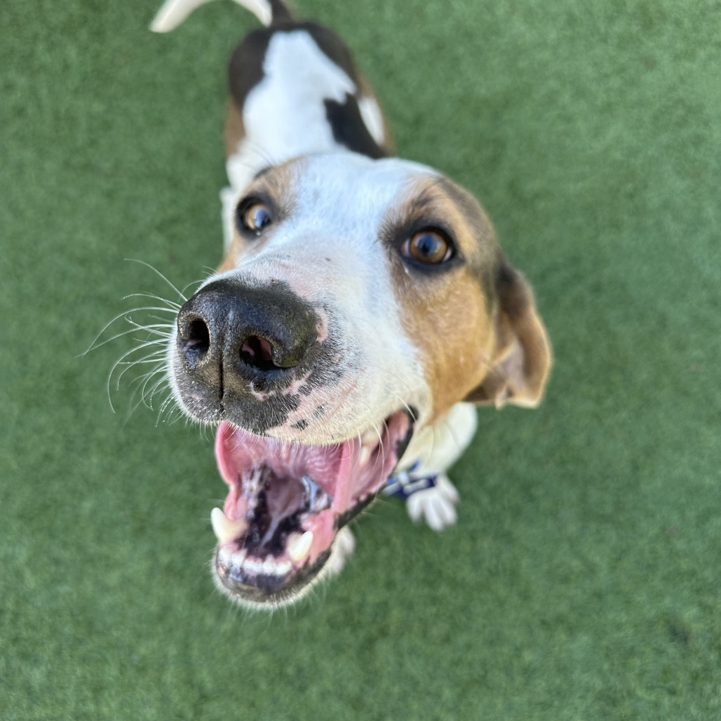 Zeke — thumbnail 5