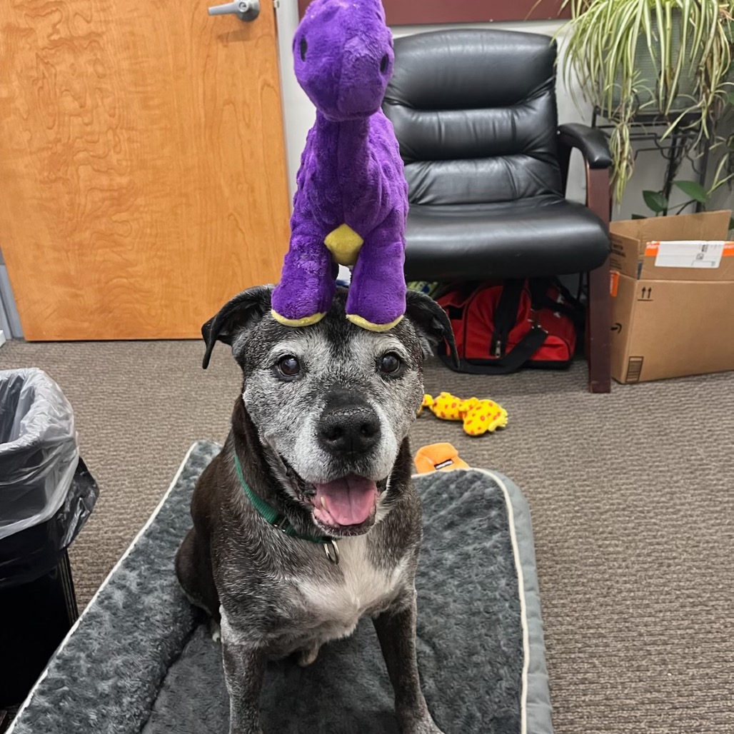 Blu, photo 24