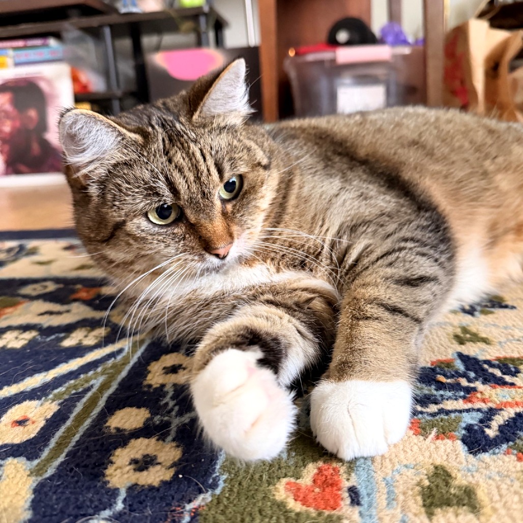 Photo of Luna