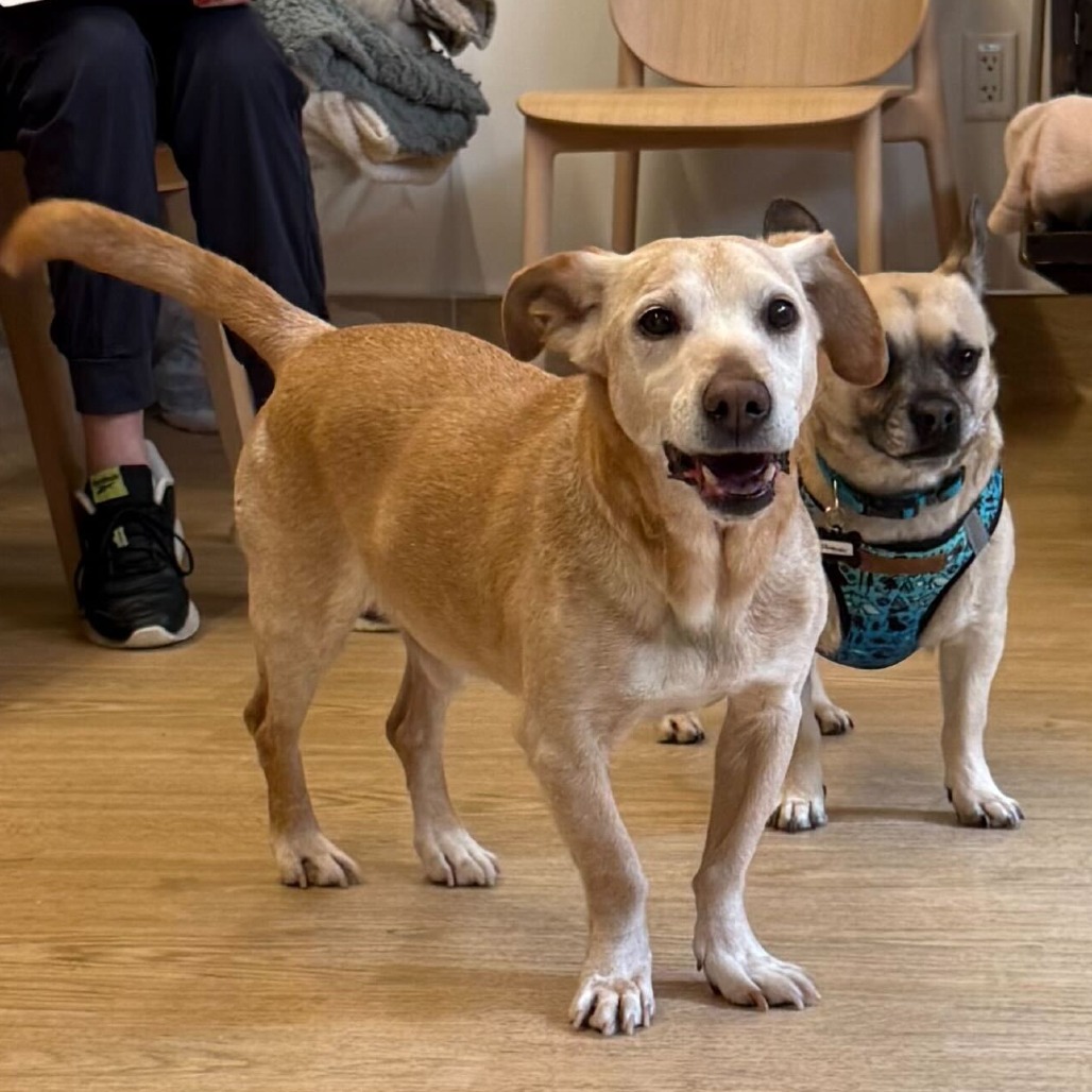 Chuck 13845 — thumbnail 2