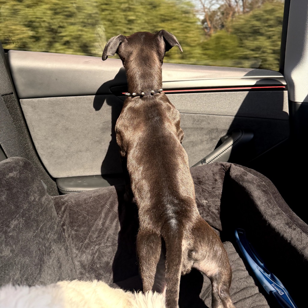 Millie Rue — thumbnail 3