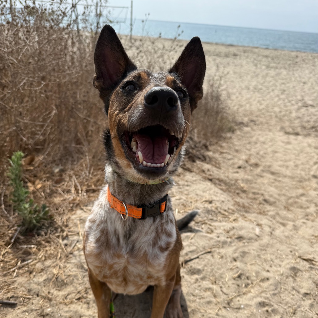 Cash, photo 16