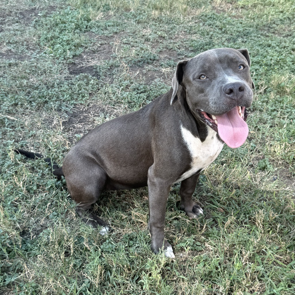 Roxie