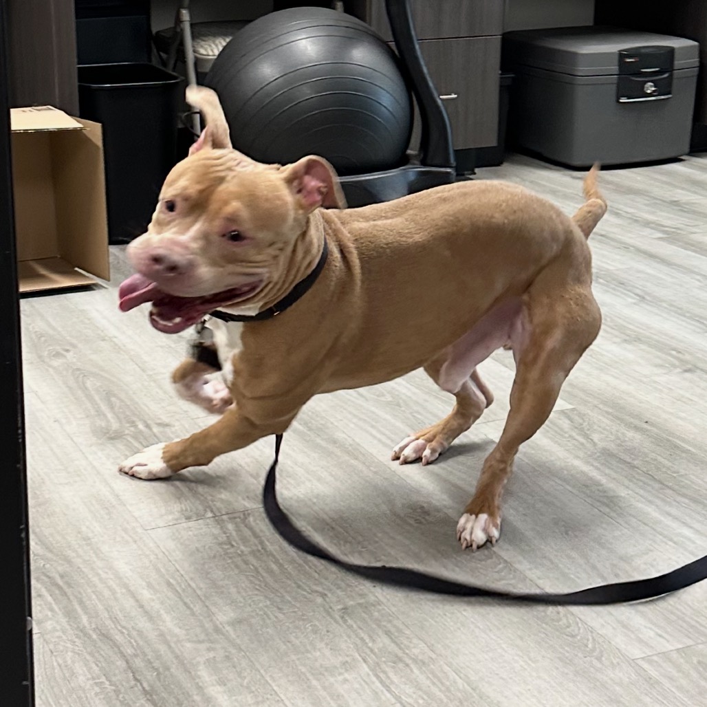 Gabe — thumbnail 5