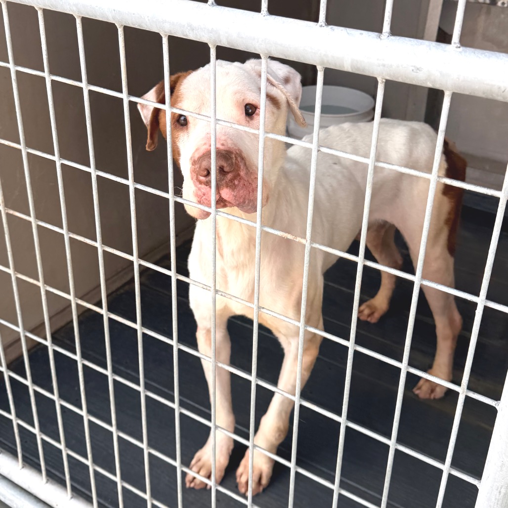 Rock — thumbnail 2