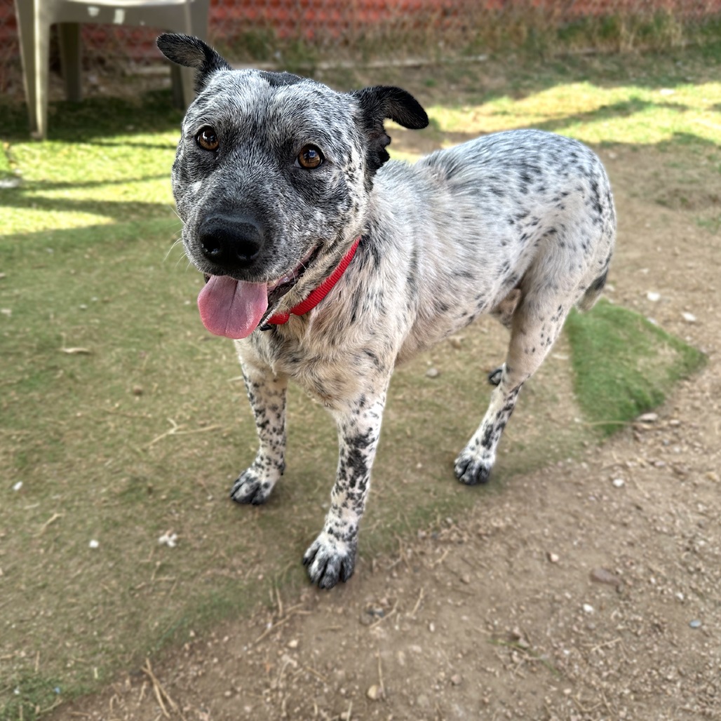 Carl — thumbnail 9