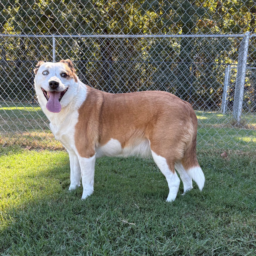 Sadie, photo 2