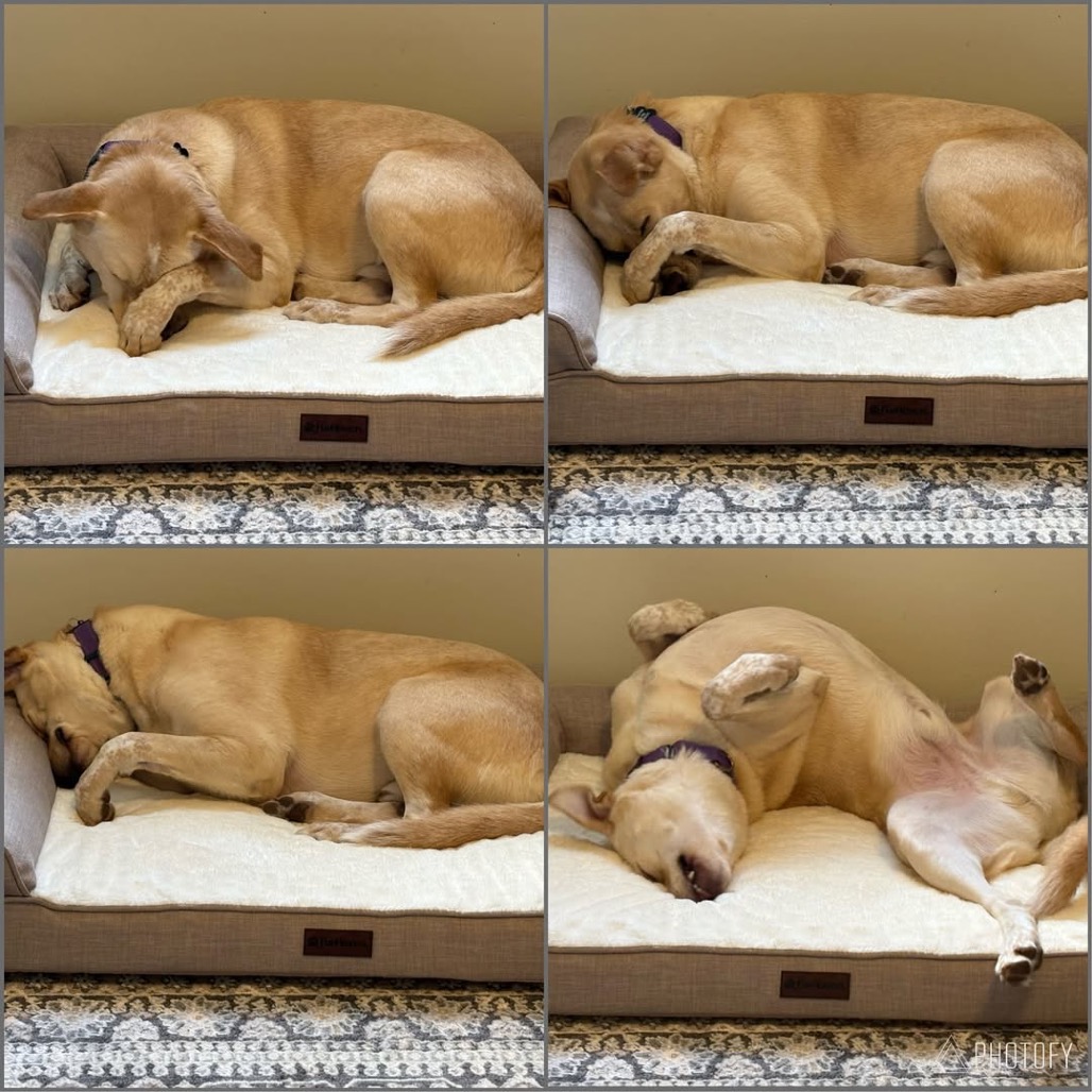 Butter, photo 32