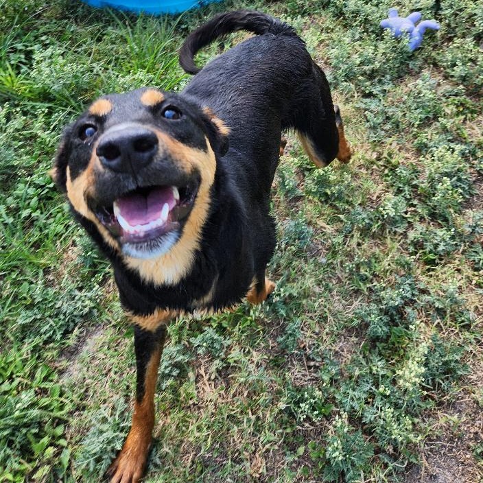 Molly photo 19