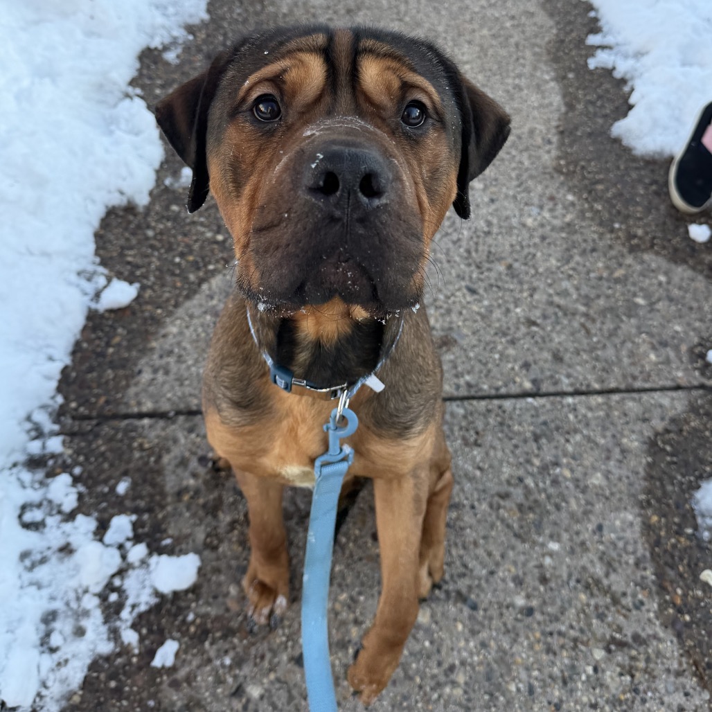 Karl — thumbnail 2