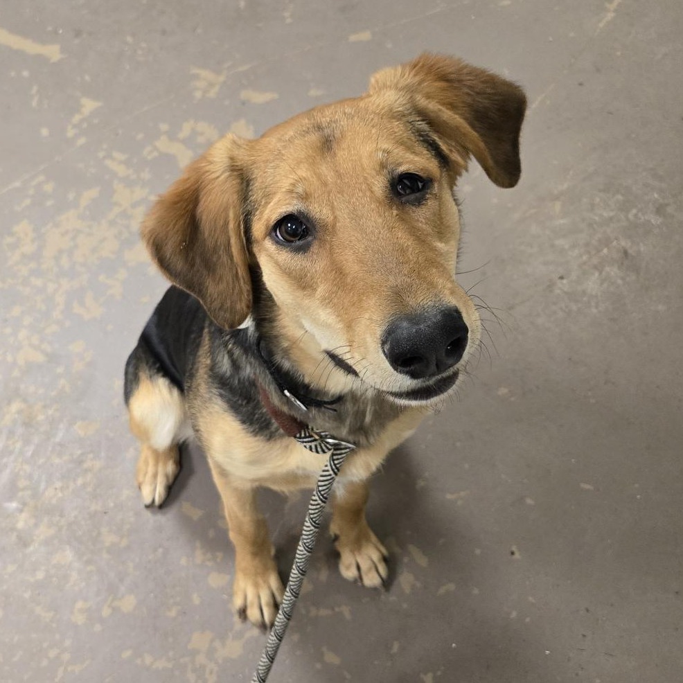 Rhea — thumbnail 2