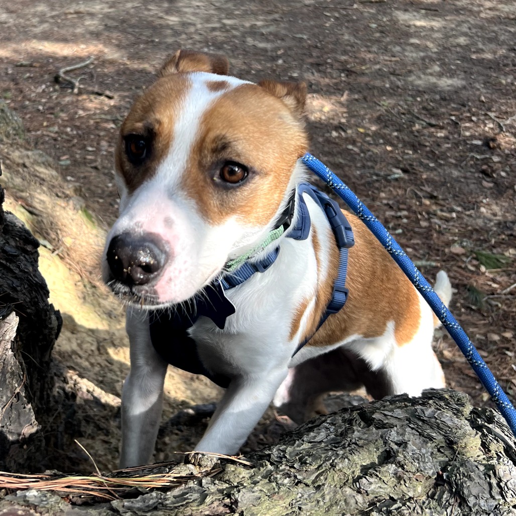 Lucille — thumbnail 4