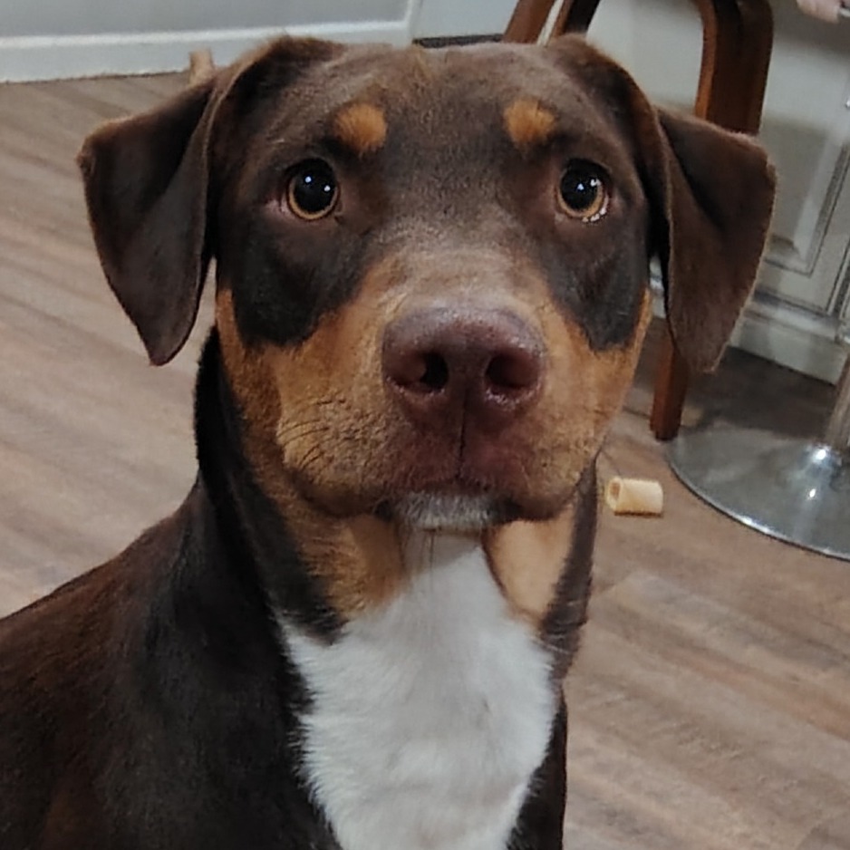 Penny