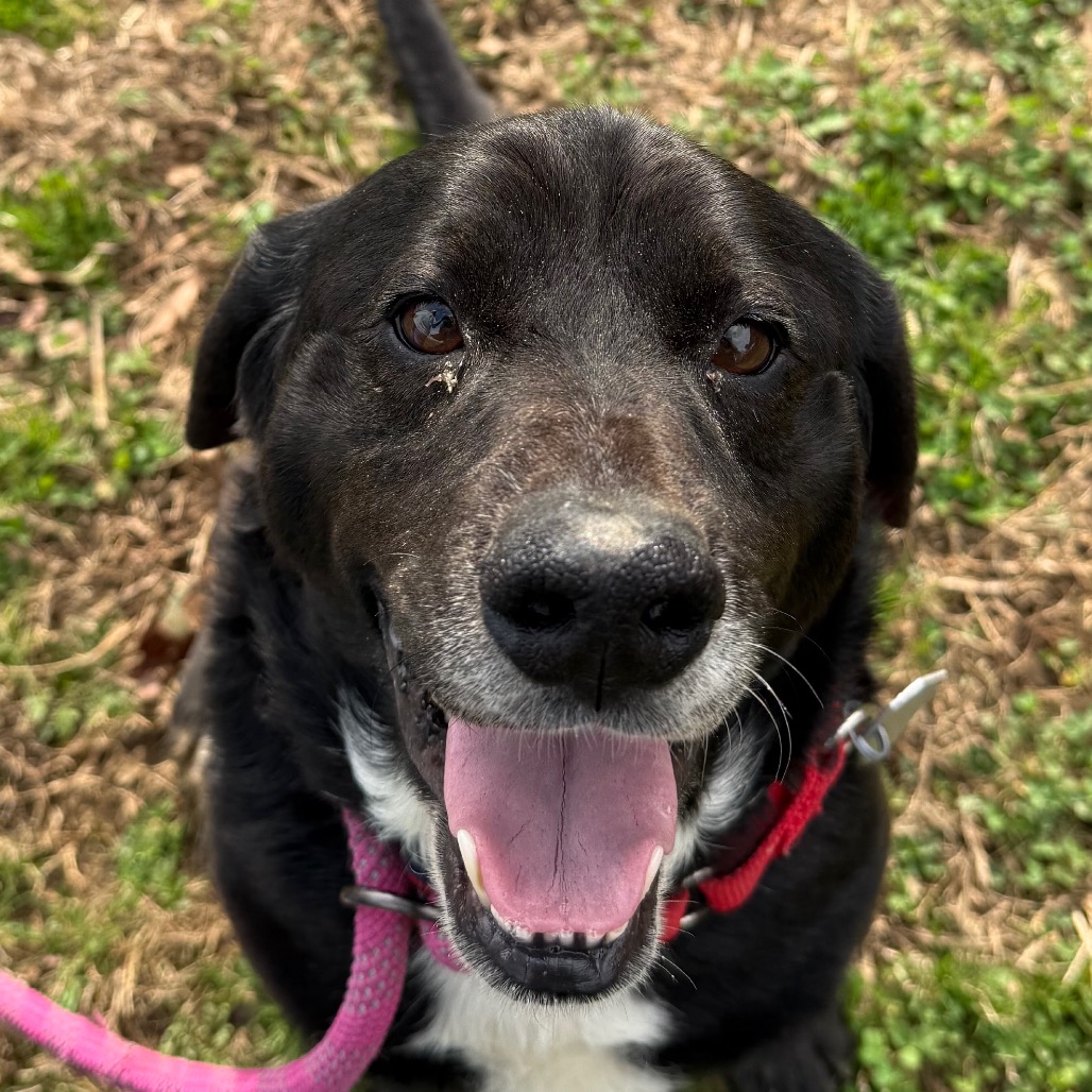 Willoughby — thumbnail 6