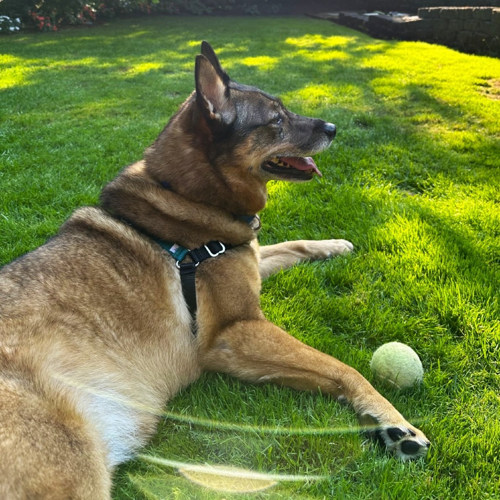 Kaia Bear — thumbnail 5