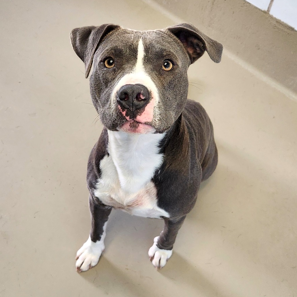 Moonbeam — thumbnail 7