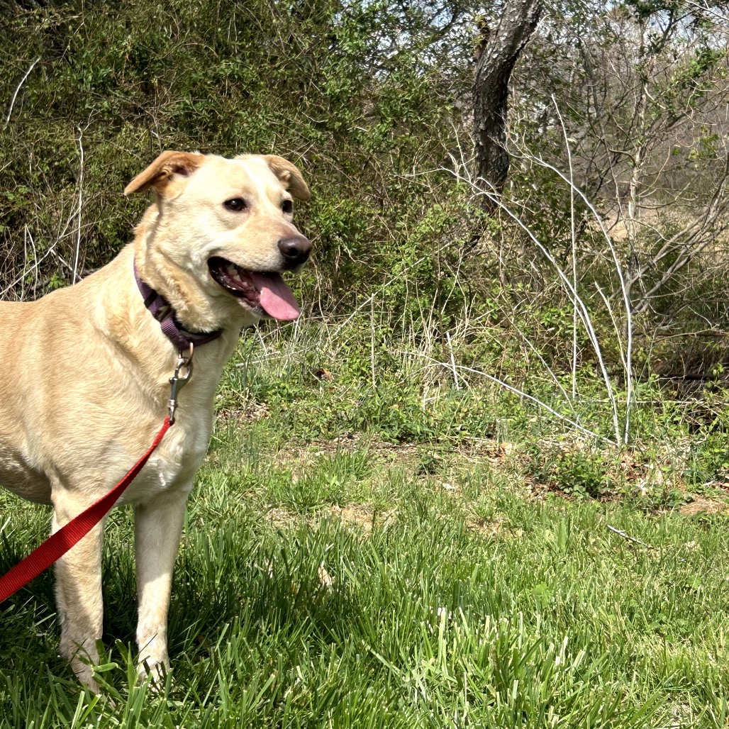 Butter, photo 17