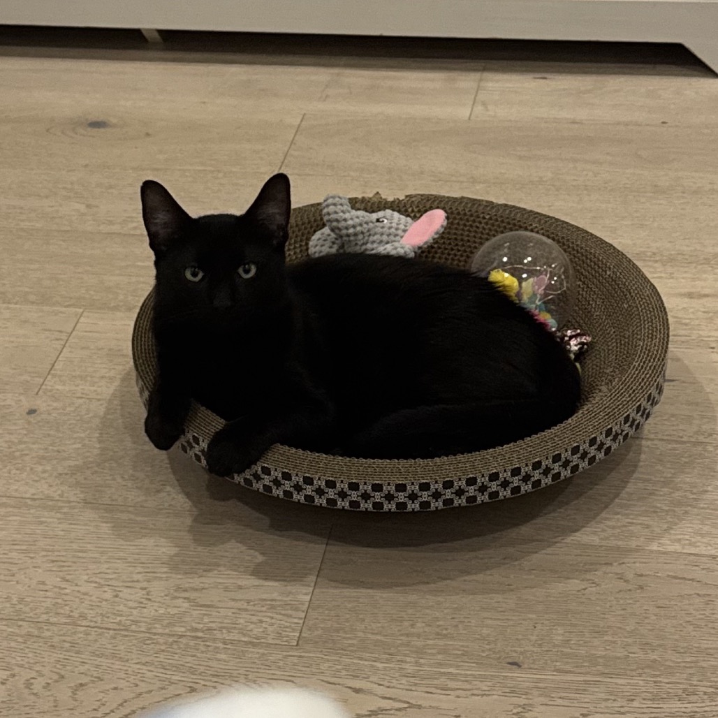 Photo of Stanley