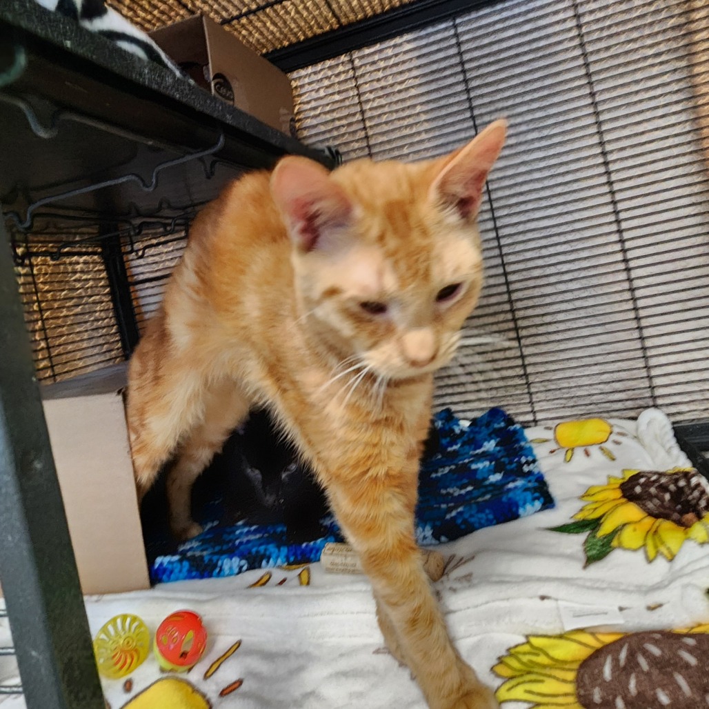 Sunlight — thumbnail 3