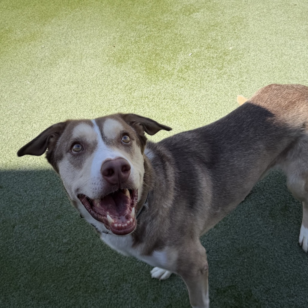 BANDIT, photo 16